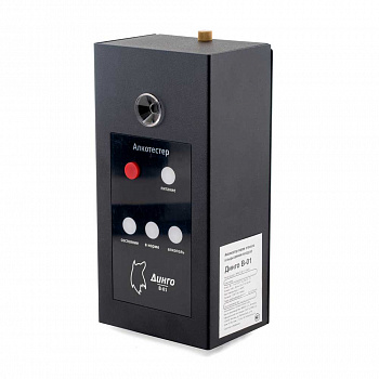 Динго В-01 